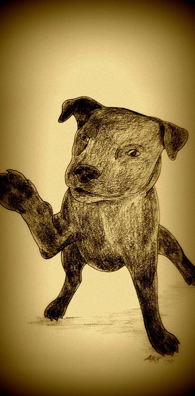 Puppy Paw -Art