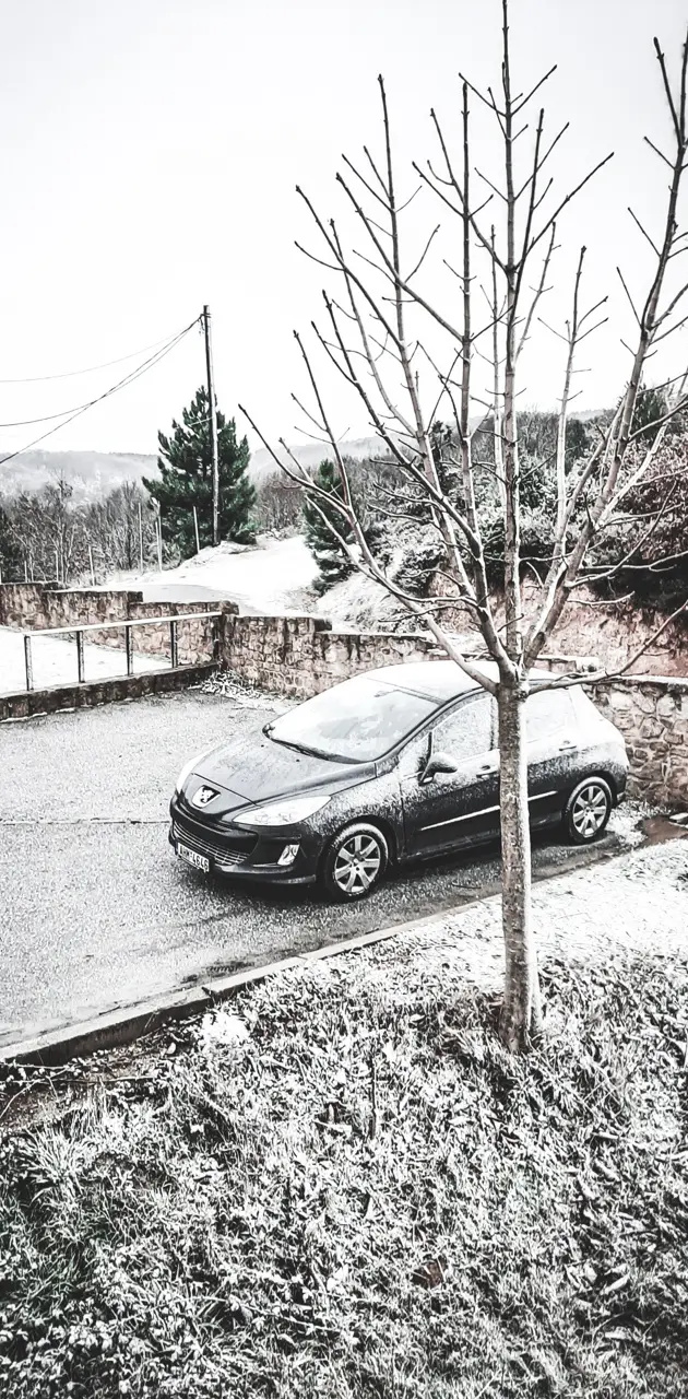 Peugeot 308 Snow