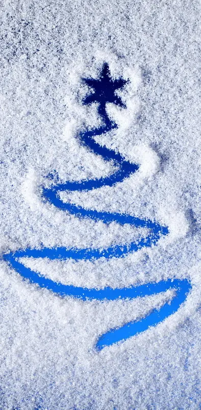 Snow  Xmas Tree