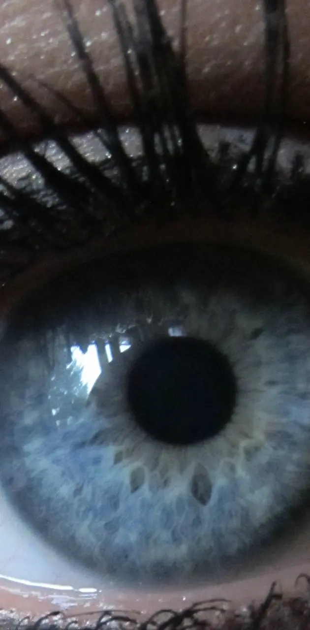 oko plavo oko