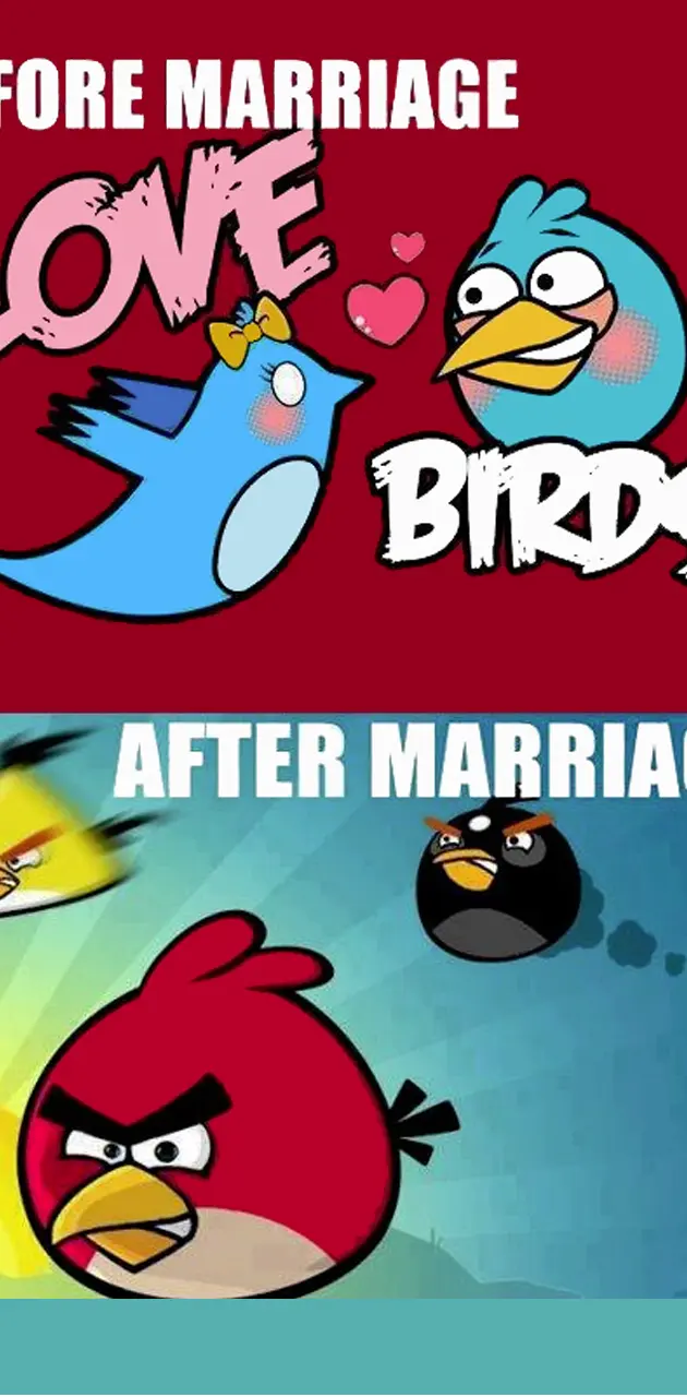 Love Vs Angry Birds
