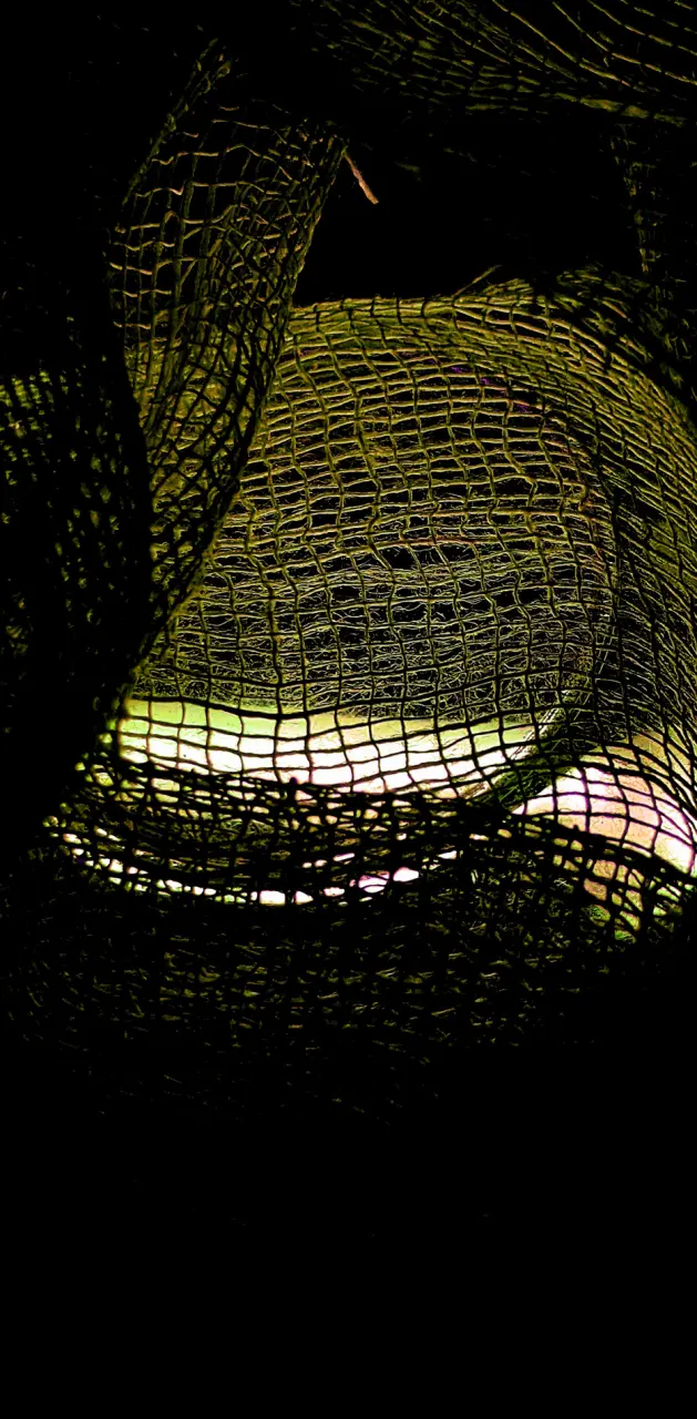 Fishing net 