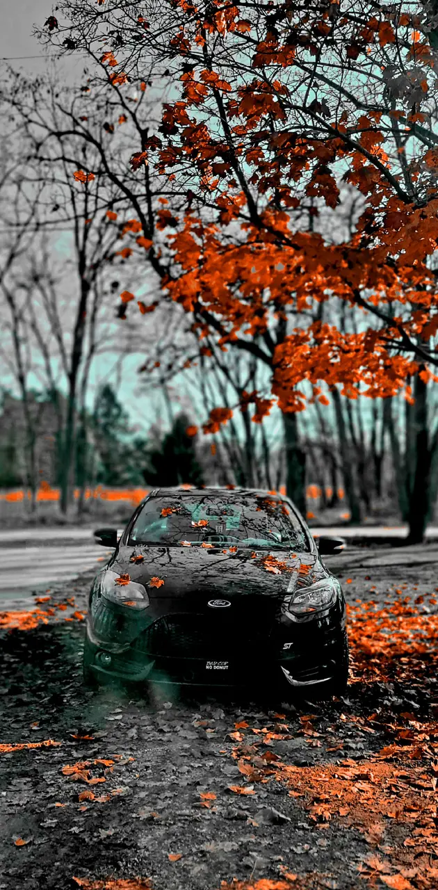 Fall Ford Focus ST 