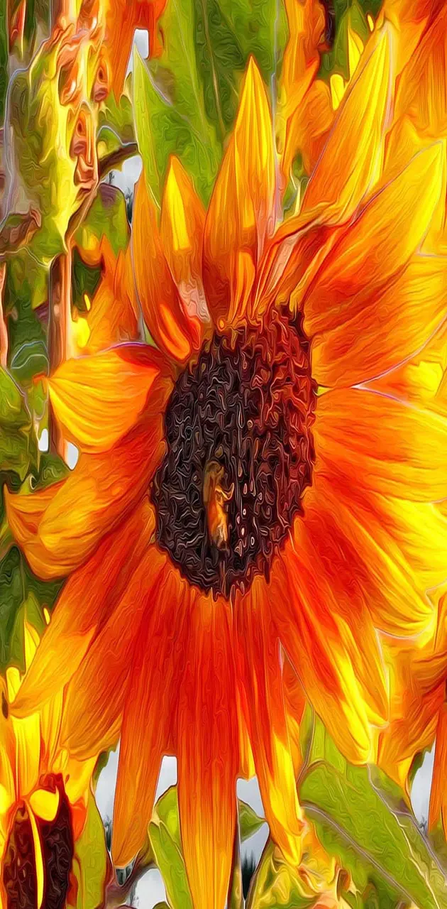 Art design sunflower