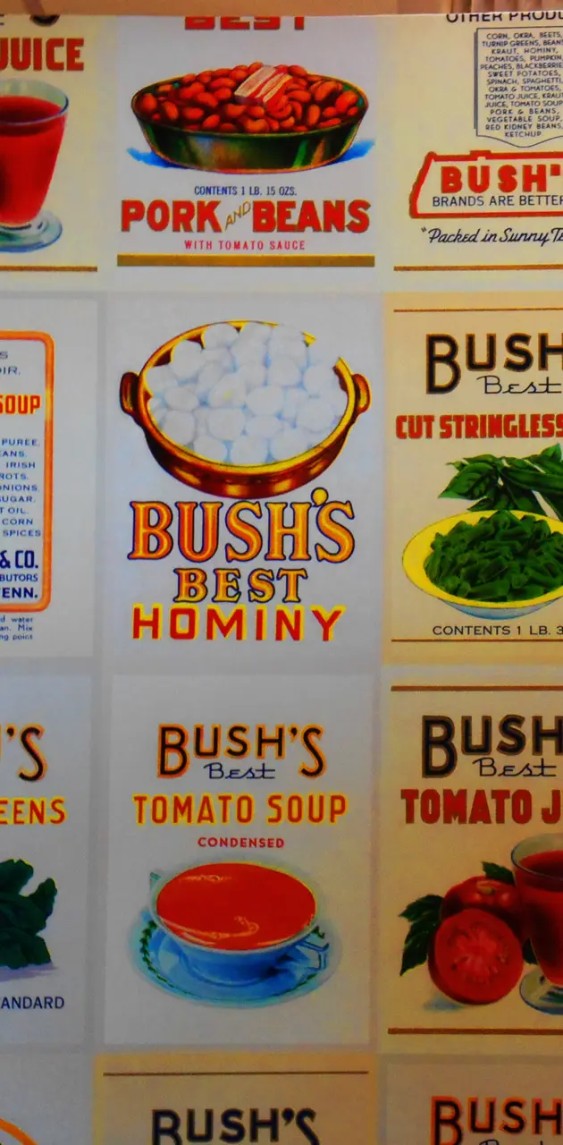 bushbean logo names
