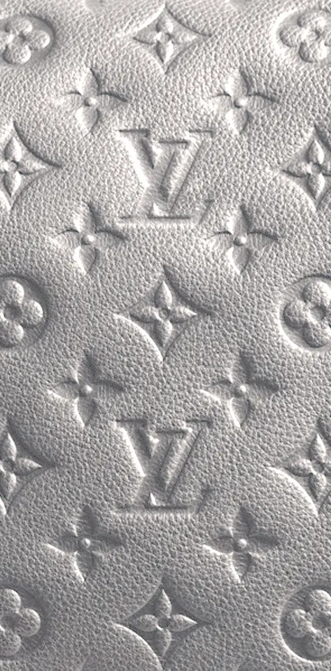 Lv Monogram Silver