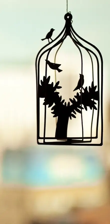 Birds in Cage