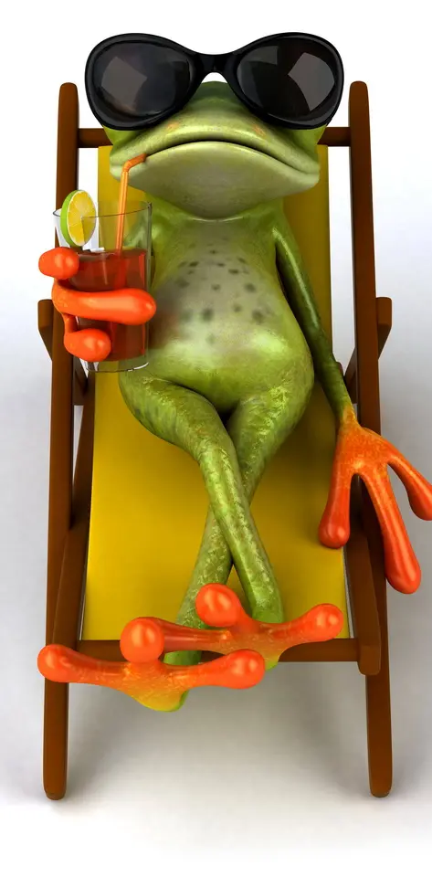 Relaxing Frog