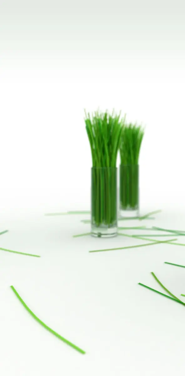 Grass In Glass Hd