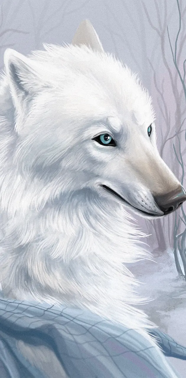 arctic wolf with blue eyes wallpaper