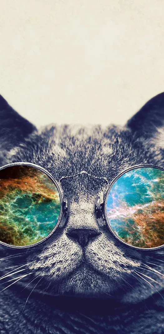 Cat shades
