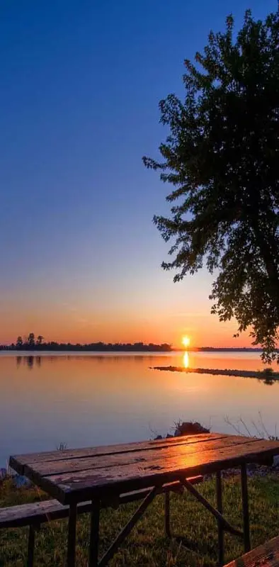 Lake sunset tree
