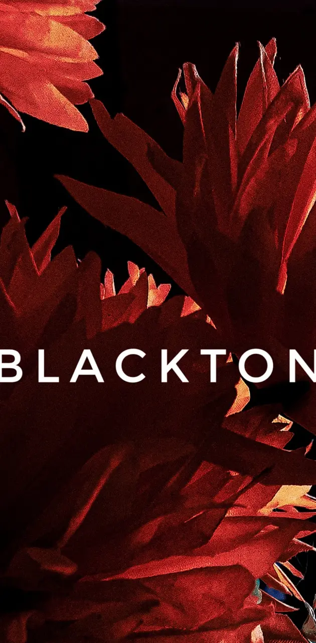Blackton