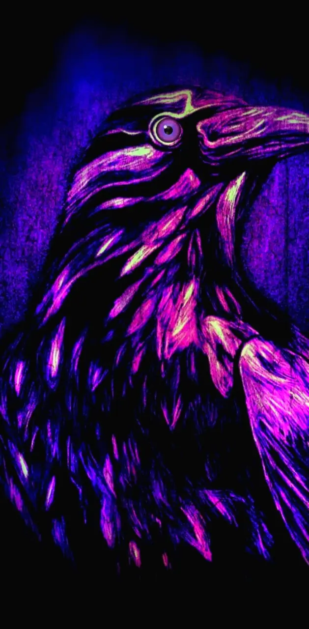 Purple Raven 