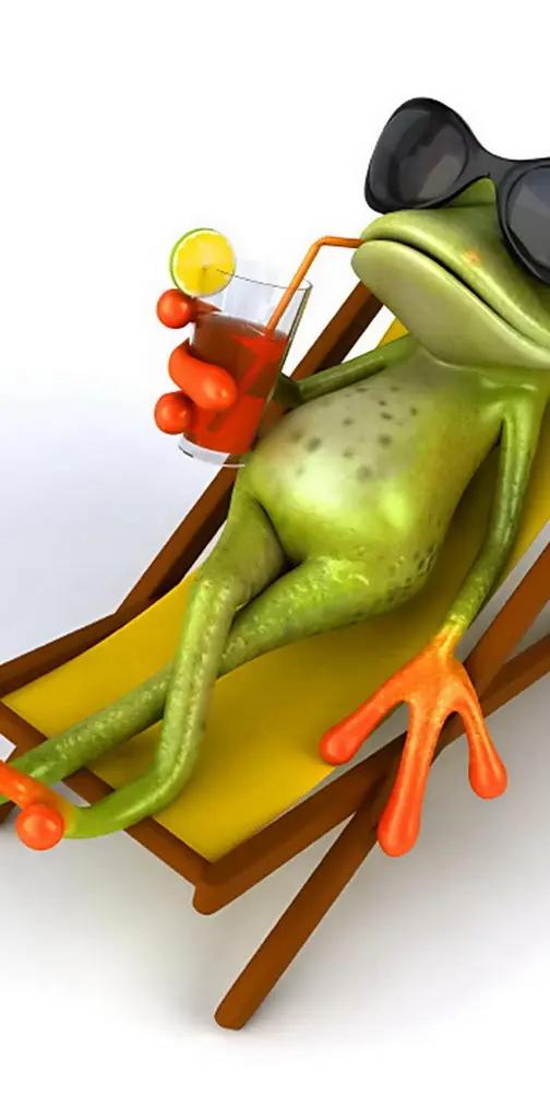 Relaxing Frog