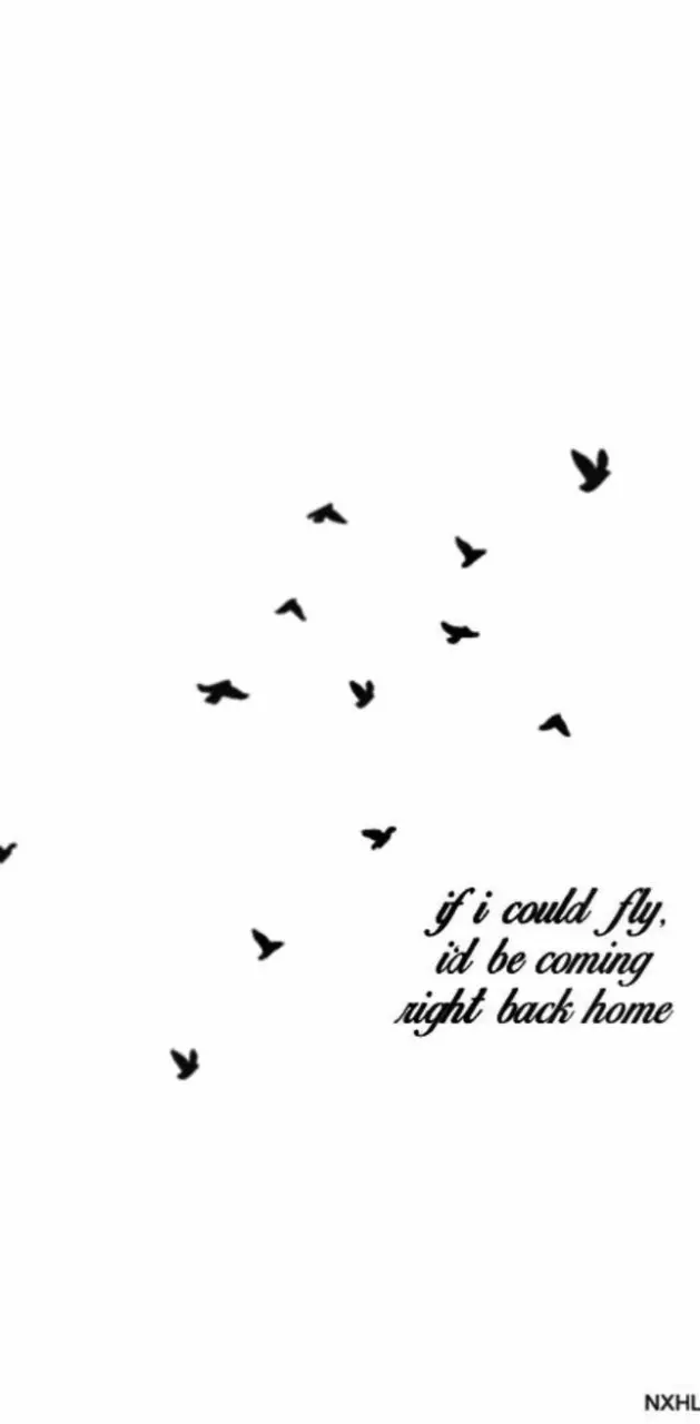 If I could fly