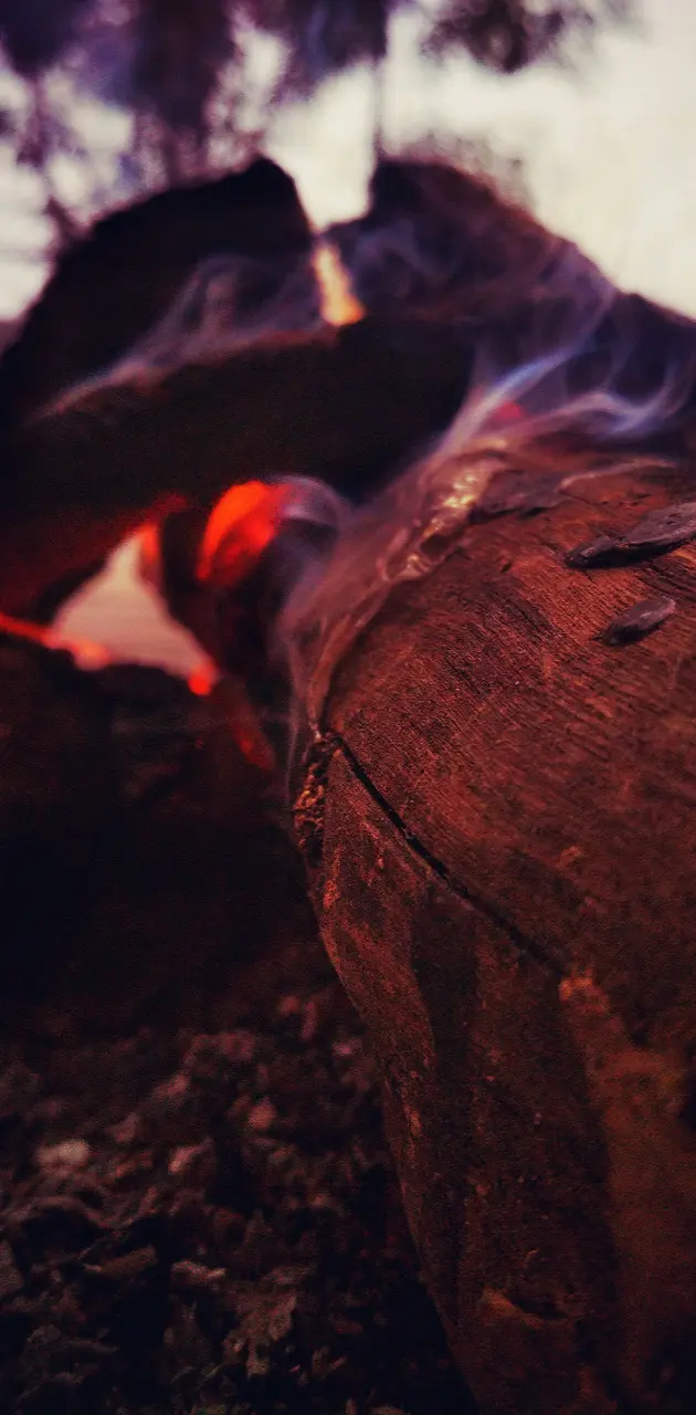 Wood fire
