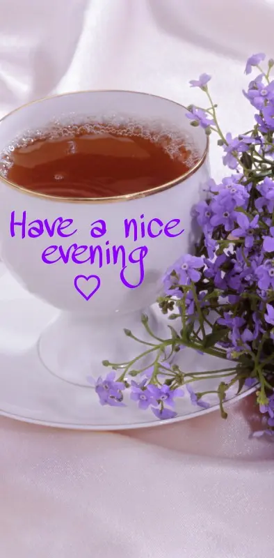 Have A Nice Evening