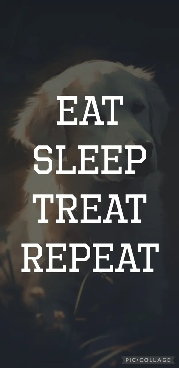 eat sleep treat repeat