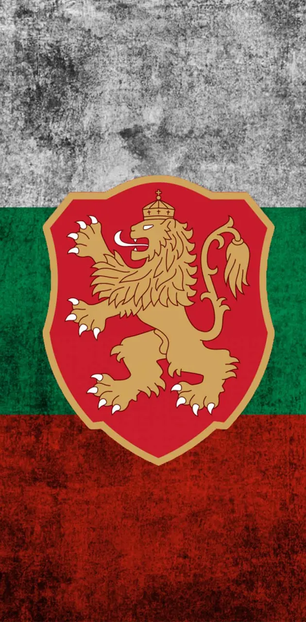 Bulgarian Team