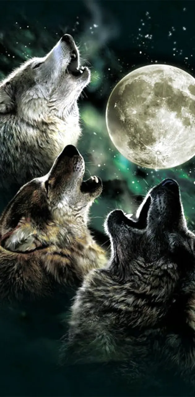 pack of wolves howling wallpaper