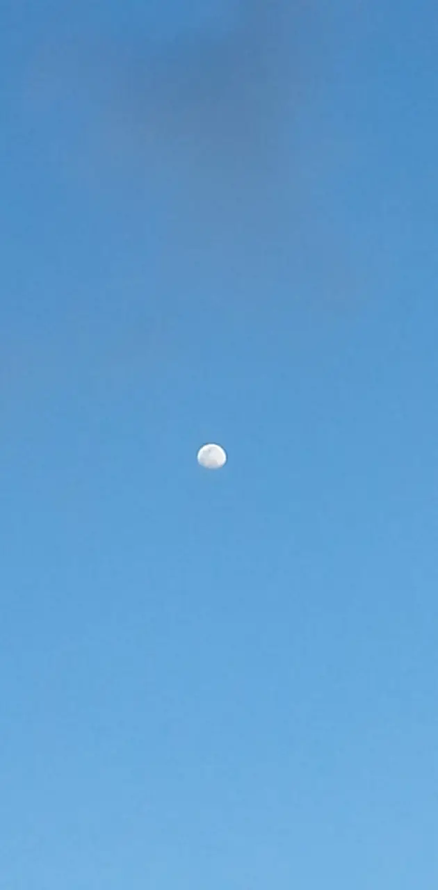 Daylight moon 4k hd