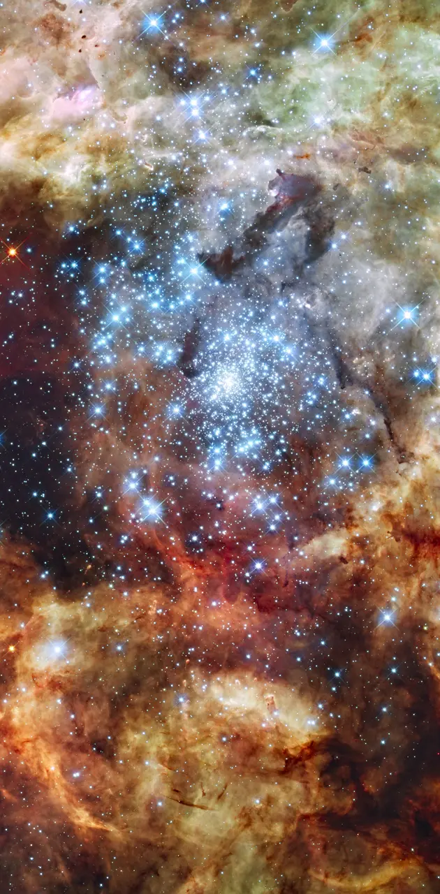 Stellar Nursery R136