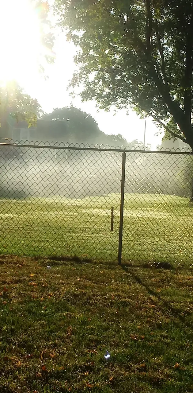 Mist beautiful
