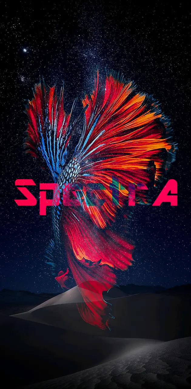 SpectrA Mega Space