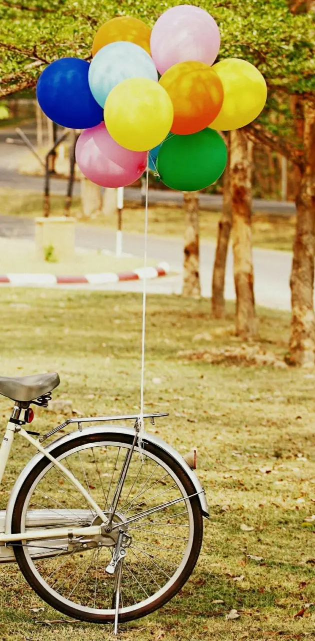 Balloons in the bike