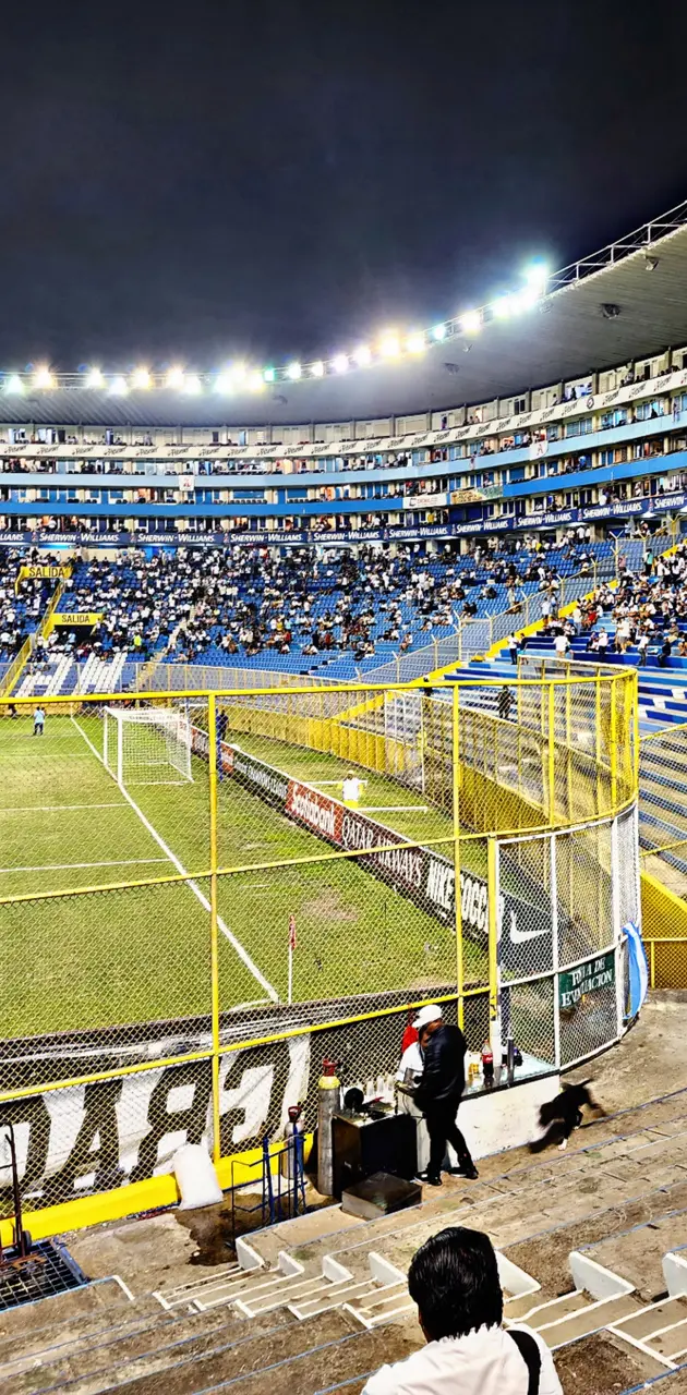 EstadioCuscatlan 