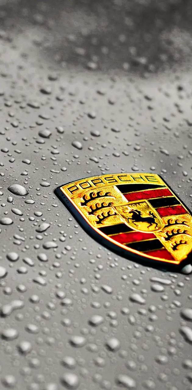 Wet Porsche Logo