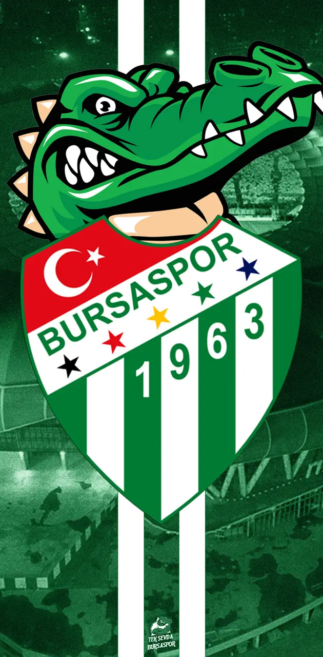 Bursaspor Wallpaper