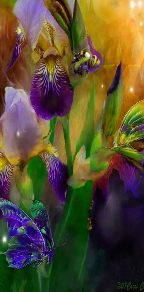 Iris-butterfly