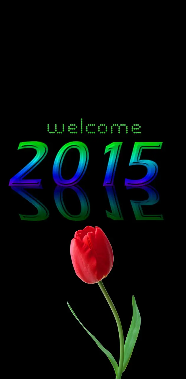 welcome 2015