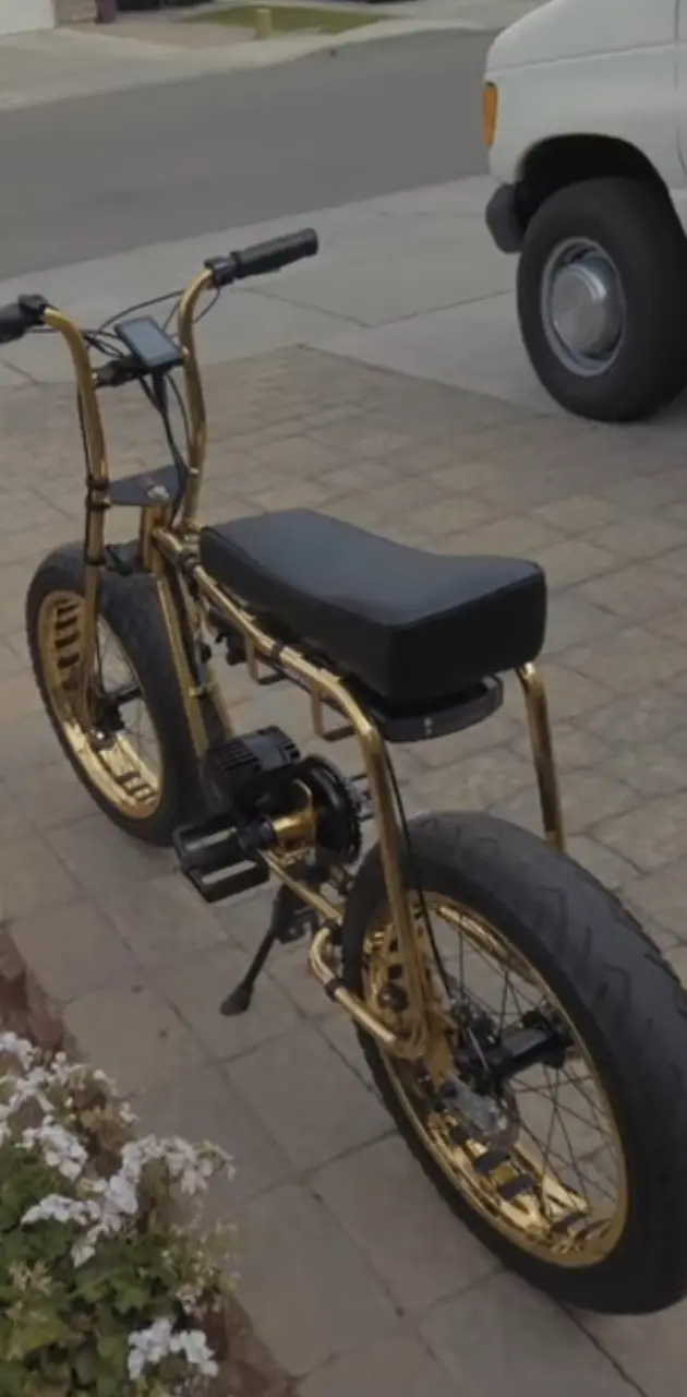 Gold Bike