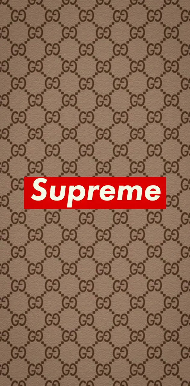 Gucci x Supreme 