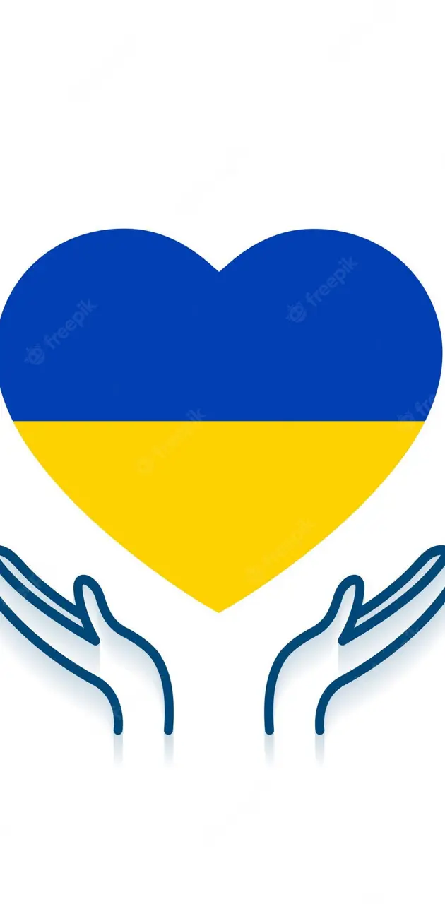 Ukraine Flag 🇺🇦