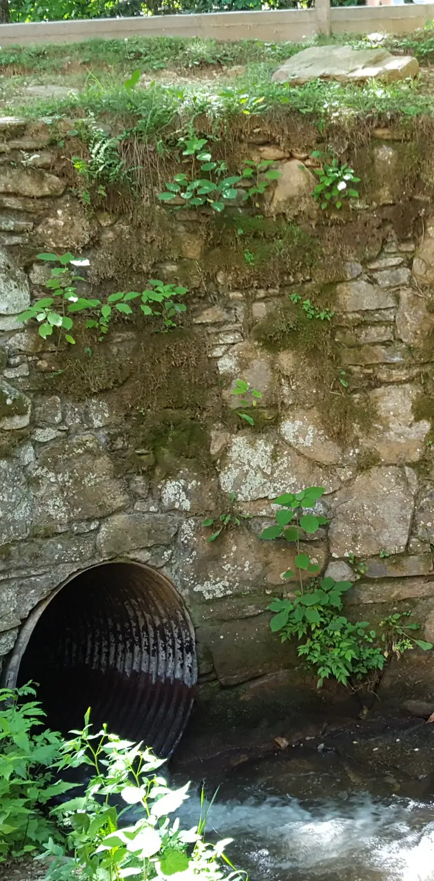 Mossy stonewall
