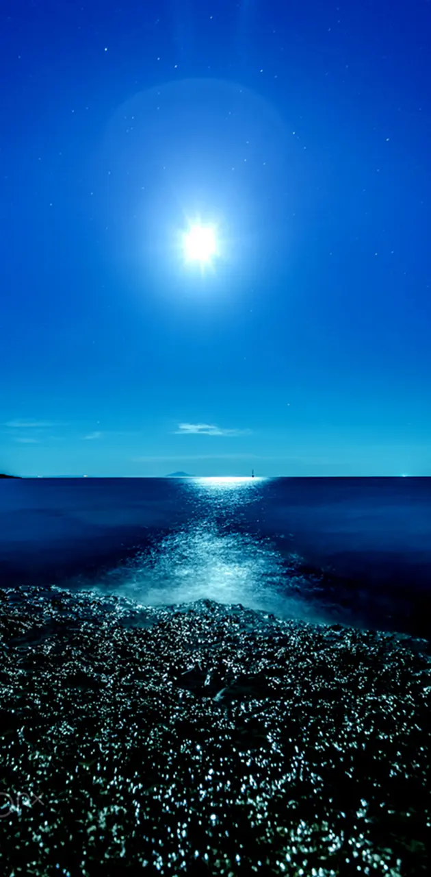 Moonlight Sea