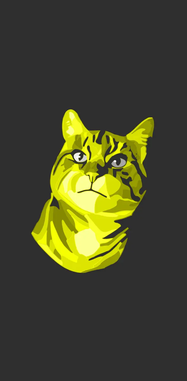 Cat Yellow