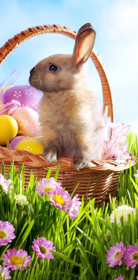 Easter Time