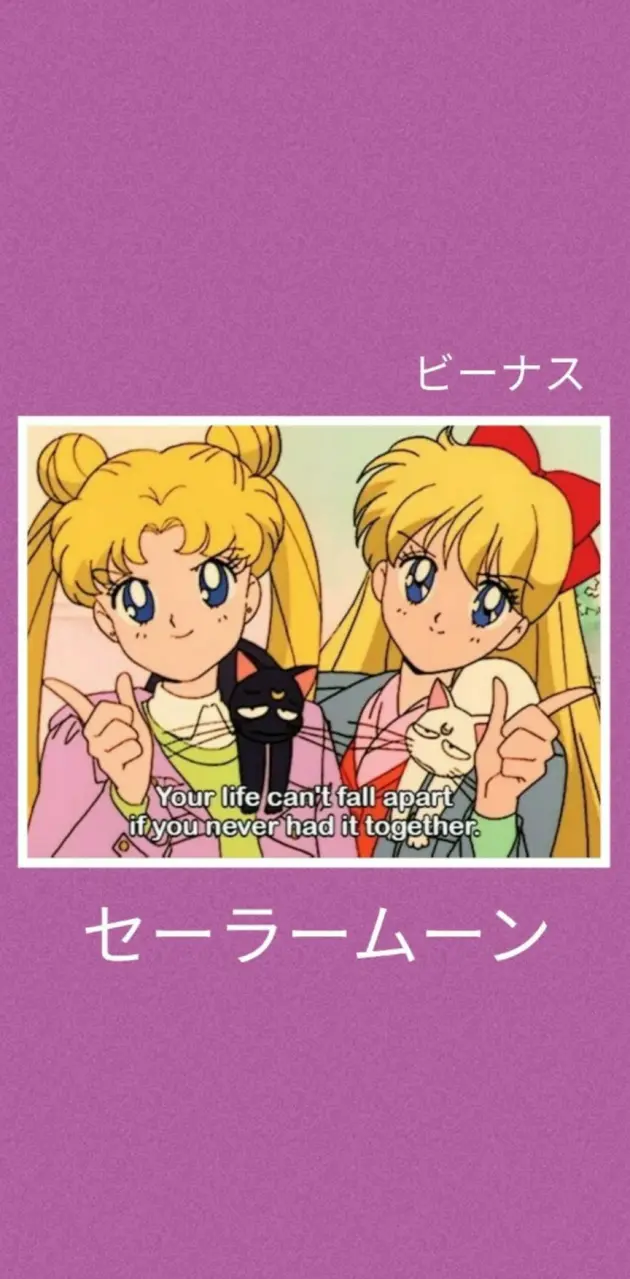Sailor Moon Aesth2