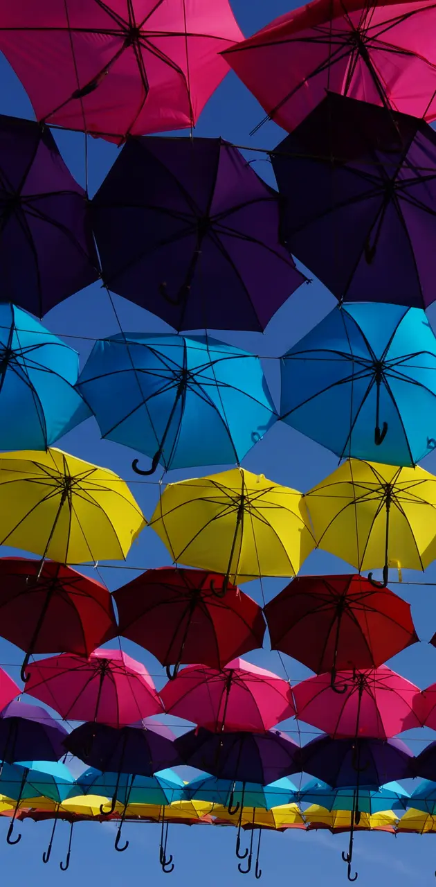 rainbow of umbrellas