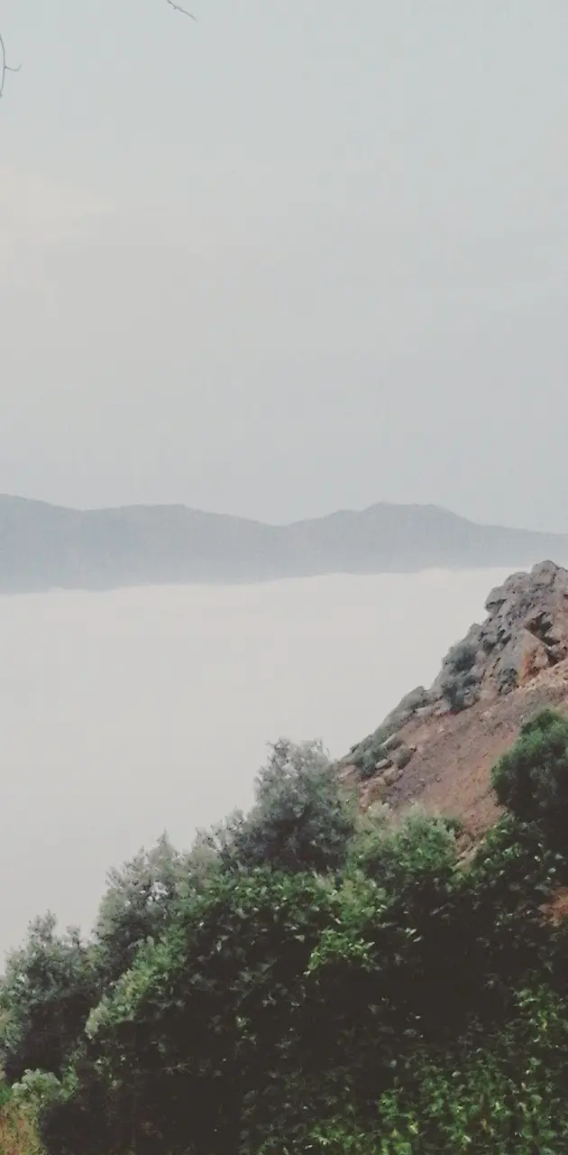 foggy mountain 