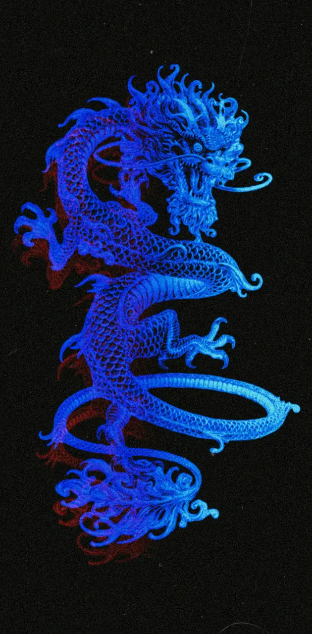 Dragons Designs