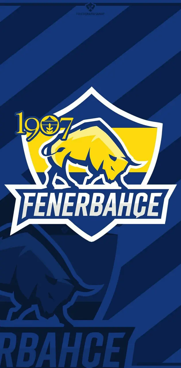 FENERBAHCE