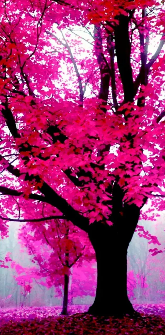 Tree pink