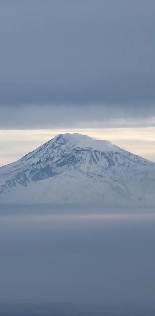 Ararat