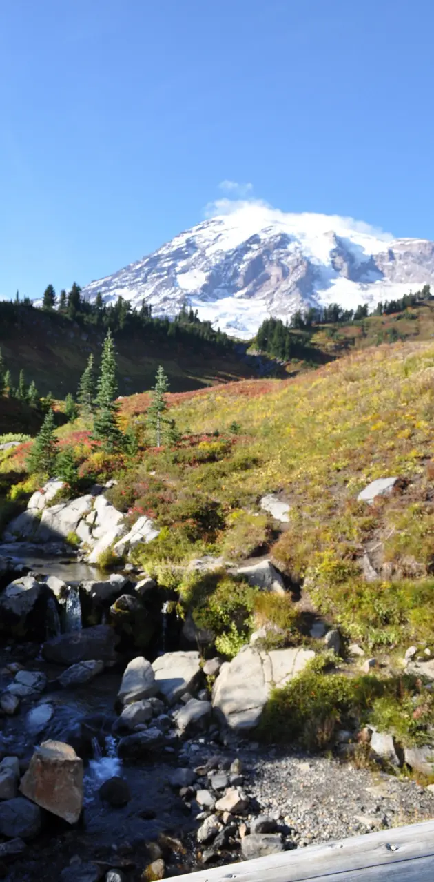 Mount Rainier wallpaper by Targetqueen66 - Download on ZEDGE™ | 402c